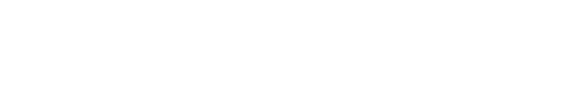 NeuroChoice logo in white