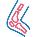ortho icon