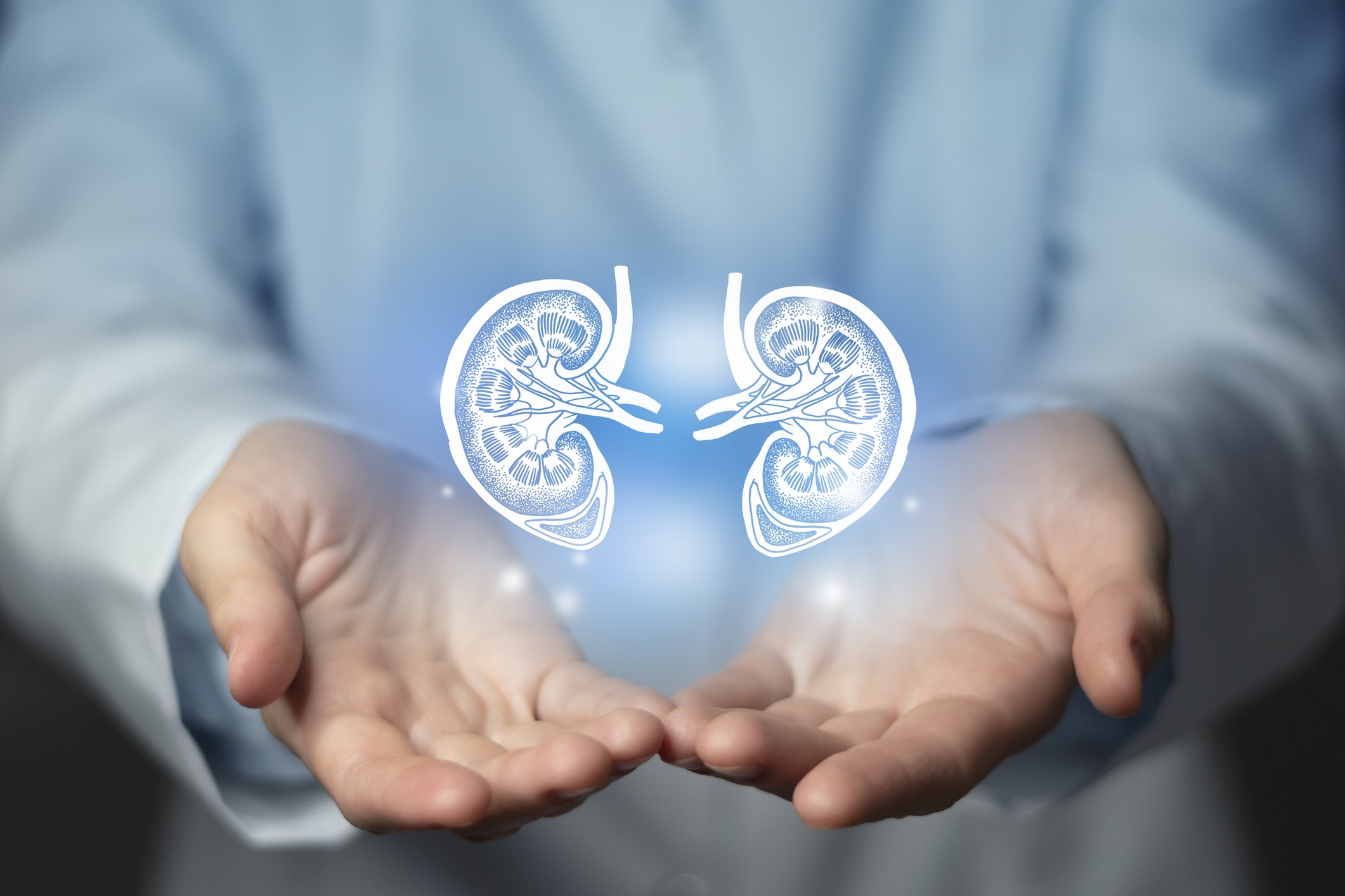 iSalus | EHR Guide
