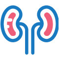 Nephrology