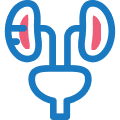 Urology